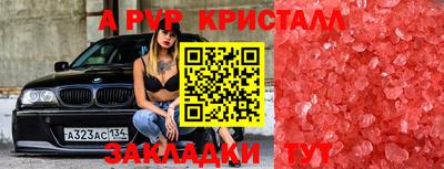 эйфоретик Ставрополь